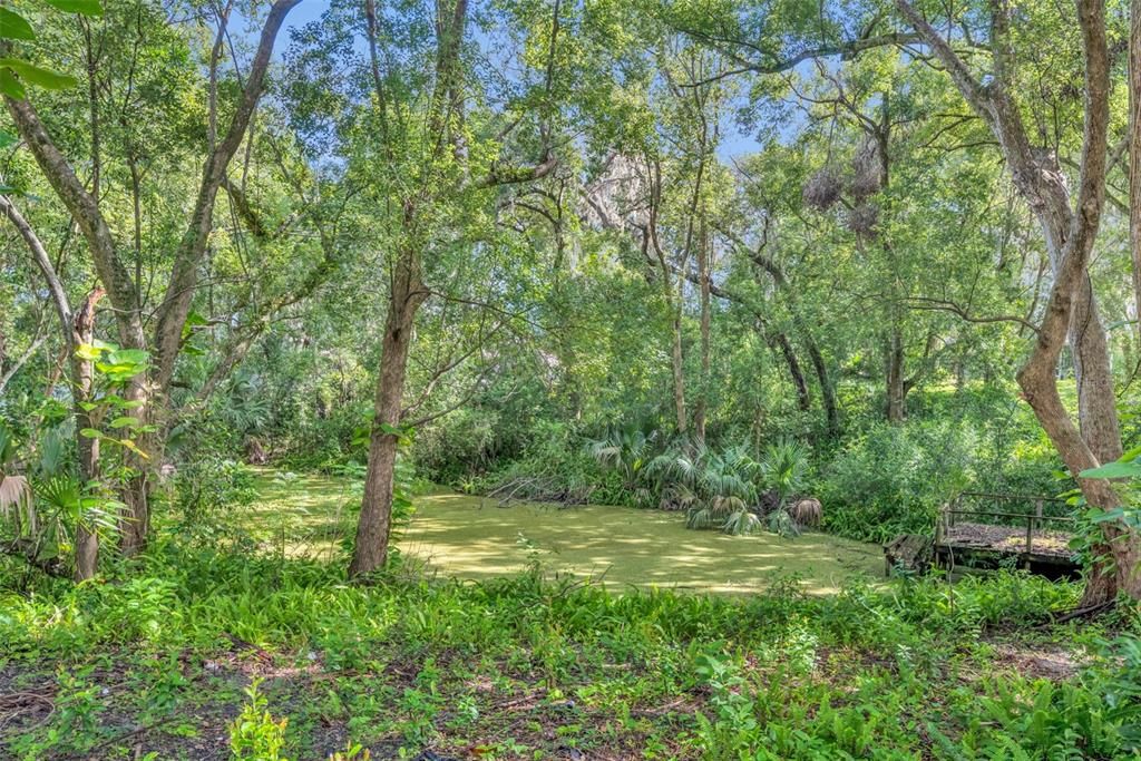 На продажу: $750,000 (7 спален, 4 ванн, 5000 Квадратных фут)