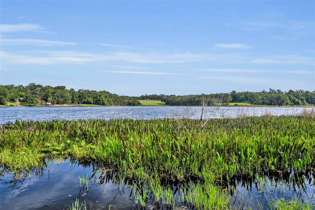 На продажу: $750,000 (7 спален, 4 ванн, 5000 Квадратных фут)