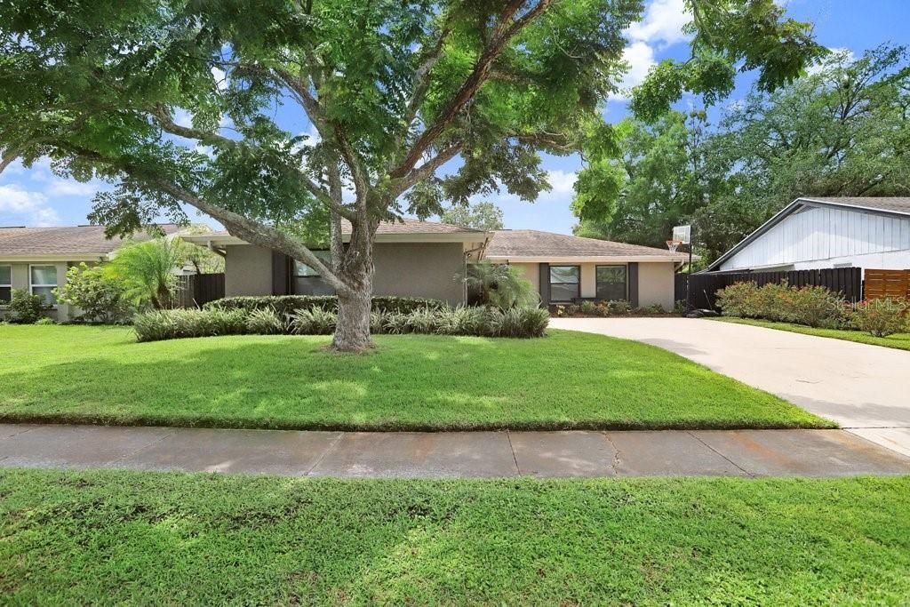 Active With Contract: $3,300 (3 beds, 2 baths, 1558 Square Feet)