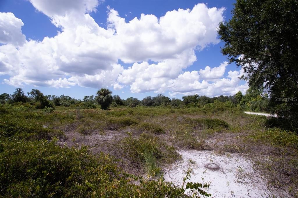 待售: $18,300 (0.23 acres)