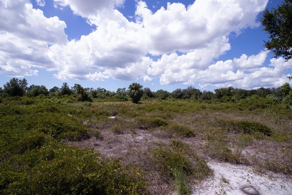 待售: $18,300 (0.23 acres)