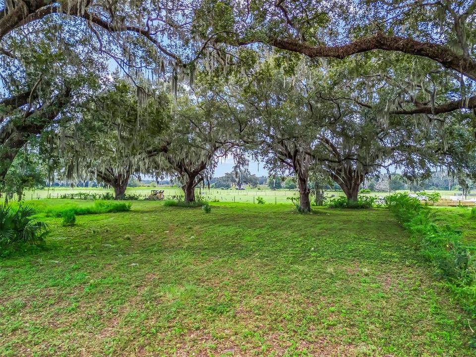 На продажу: $95,000 (1.03 acres)