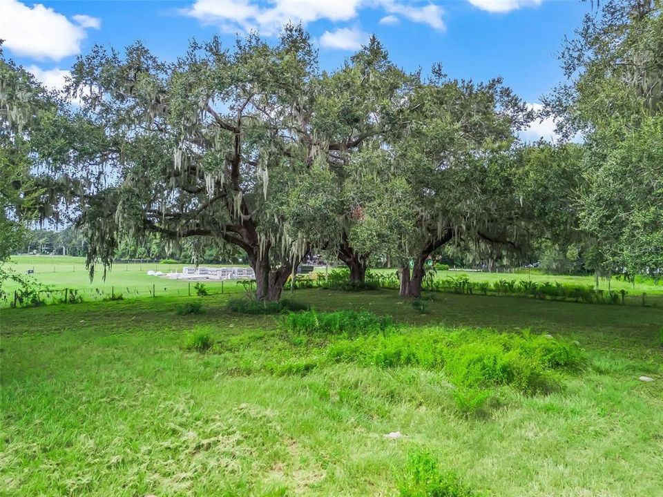 На продажу: $95,000 (1.03 acres)