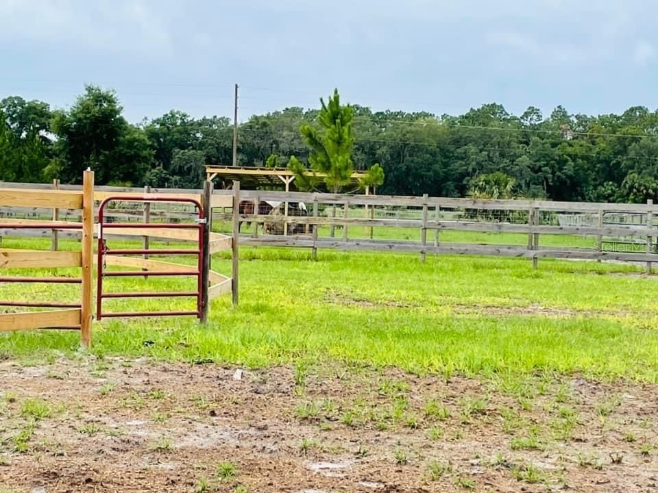 Под контрактом: $450,000 (2 спален, 2 ванн, 1344 Квадратных фут)