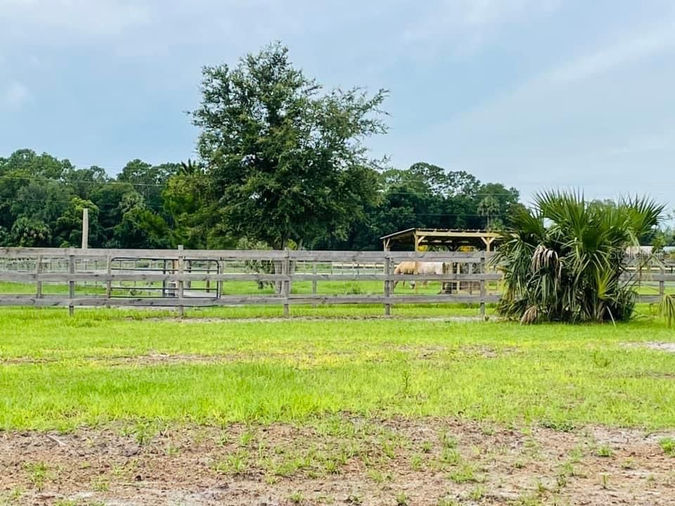 Под контрактом: $450,000 (2 спален, 2 ванн, 1344 Квадратных фут)