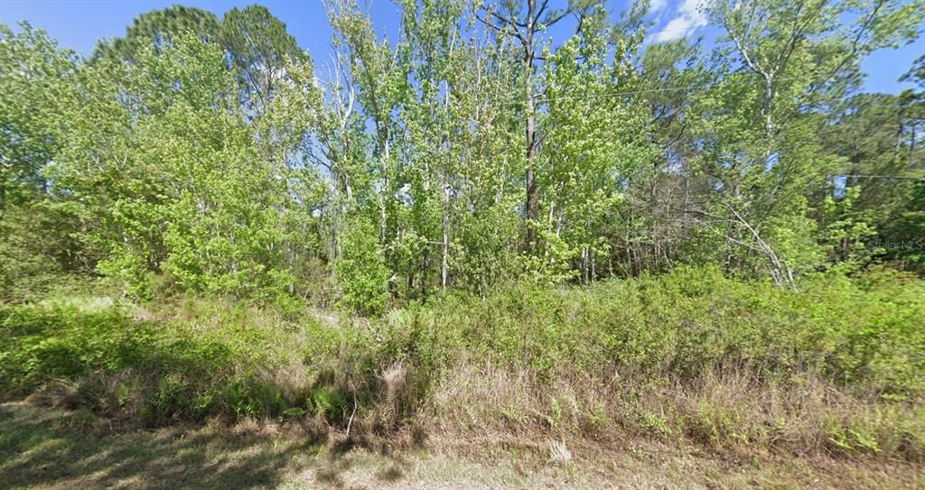 En Venta: $5,500 (0.23 acres)