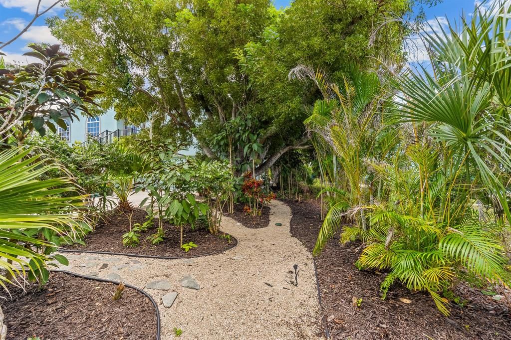 待售: $980,000 (3 贝兹, 2 浴室, 2440 平方英尺)