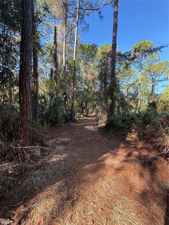 For Sale: $300,000 (9.80 acres)