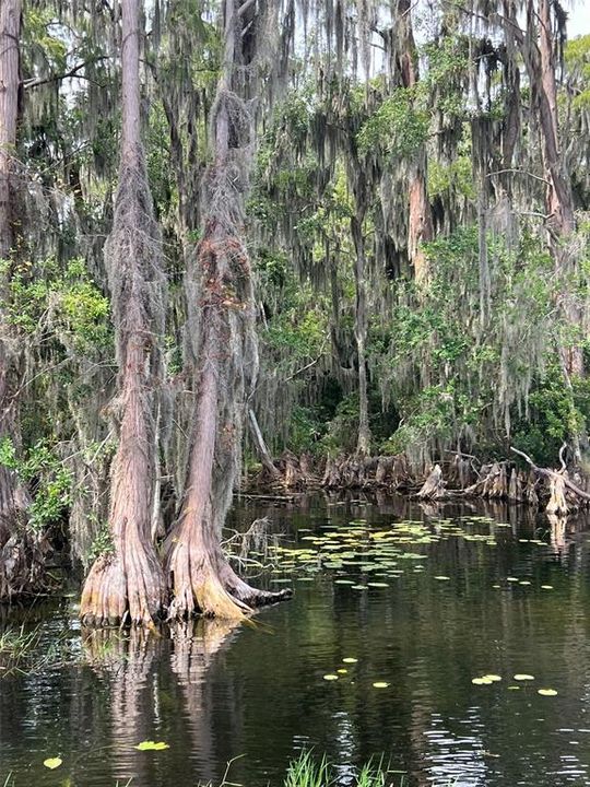 Active With Contract: $140,000 (2.16 acres)