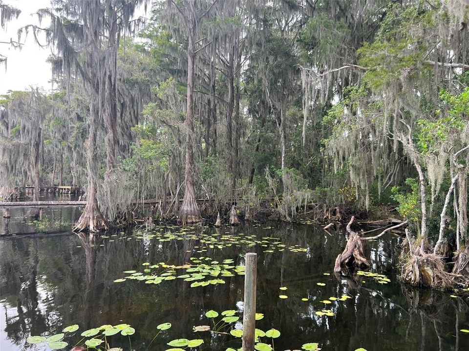 Active With Contract: $140,000 (2.16 acres)