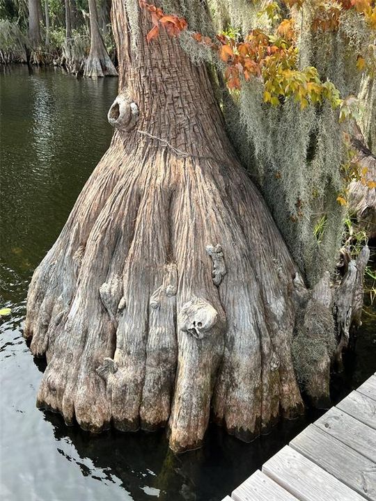 Active With Contract: $140,000 (2.16 acres)