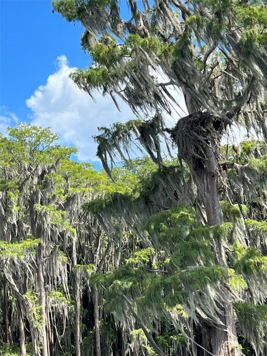 Active With Contract: $140,000 (2.16 acres)