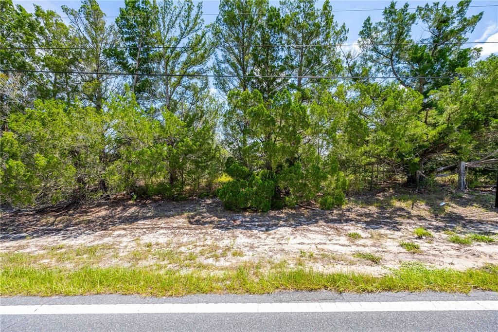 待售: $89,900 (1.30 acres)