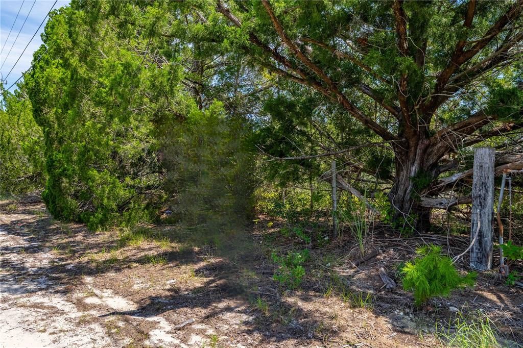 待售: $89,900 (1.30 acres)