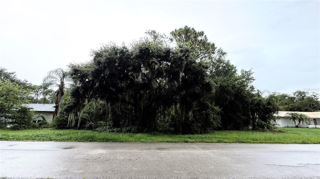 En Venta: $37,800 (0.50 acres)