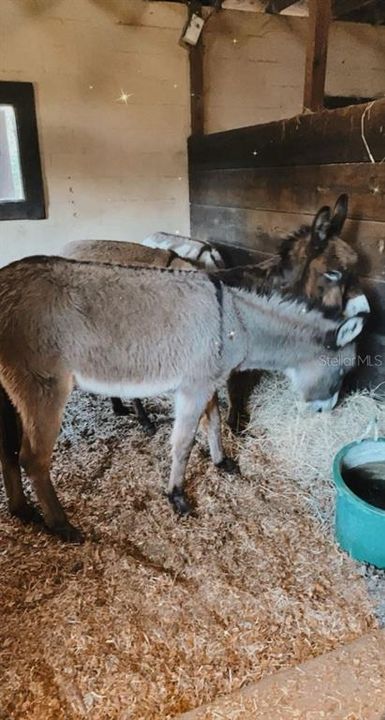 For Sale: $995,000 (4 beds, 2 baths, 4783 Square Feet)