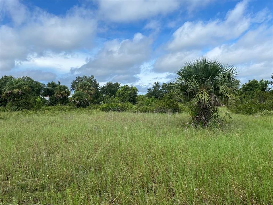For Sale: $14,950 (0.23 acres)