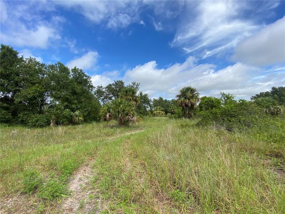 For Sale: $14,950 (0.23 acres)