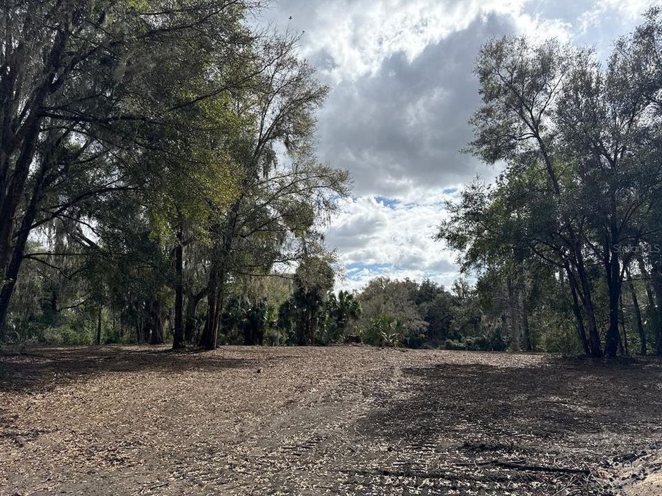 待售: $110,000 (3.05 acres)