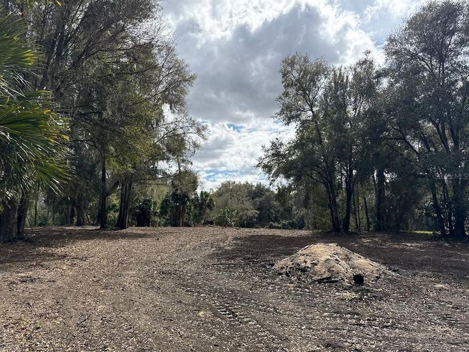 待售: $110,000 (3.05 acres)