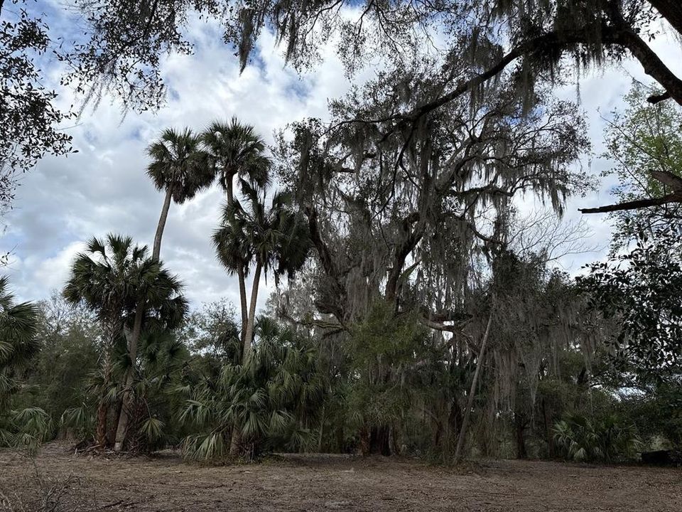 待售: $110,000 (3.05 acres)