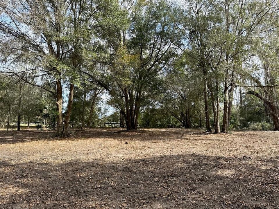 待售: $110,000 (3.05 acres)