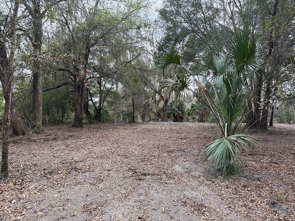 待售: $110,000 (3.05 acres)