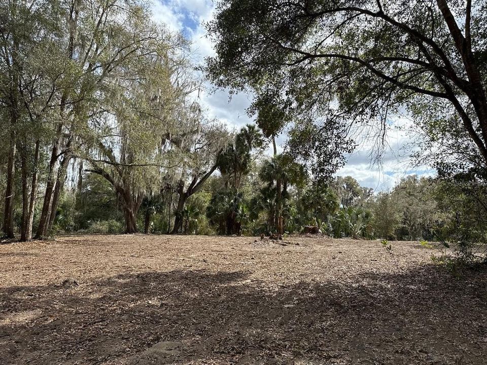 待售: $110,000 (3.05 acres)