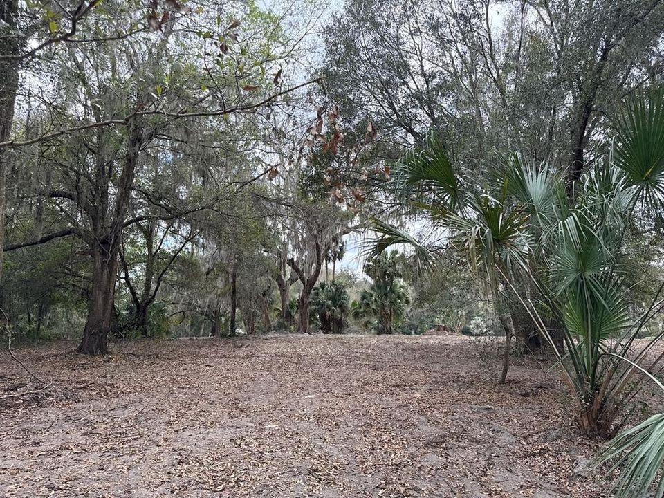 待售: $110,000 (3.05 acres)