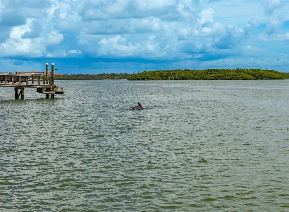 For Sale: $8,650,000 (5 beds, 5 baths, 5785 Square Feet)