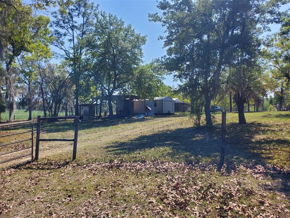 待售: $360,000 (3 贝兹, 2 浴室, 1252 平方英尺)