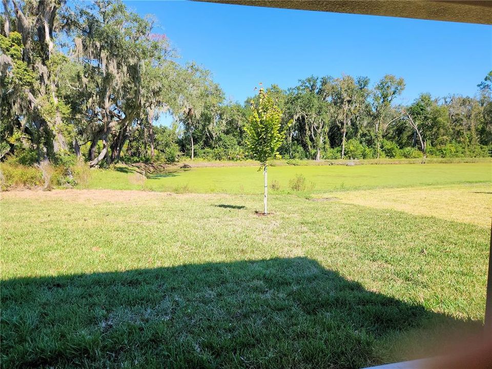 合同活跃: $449,000 (3 贝兹, 2 浴室, 1682 平方英尺)