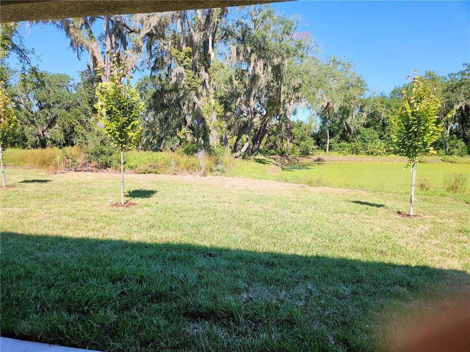 合同活跃: $449,000 (3 贝兹, 2 浴室, 1682 平方英尺)