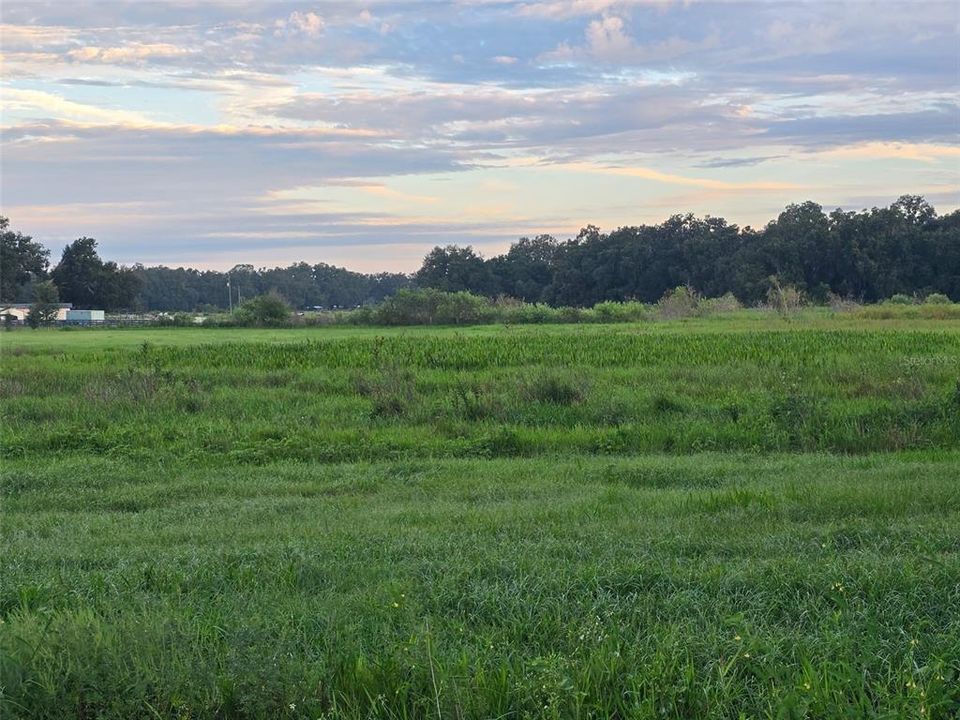 待售: $350,000 (10.00 acres)