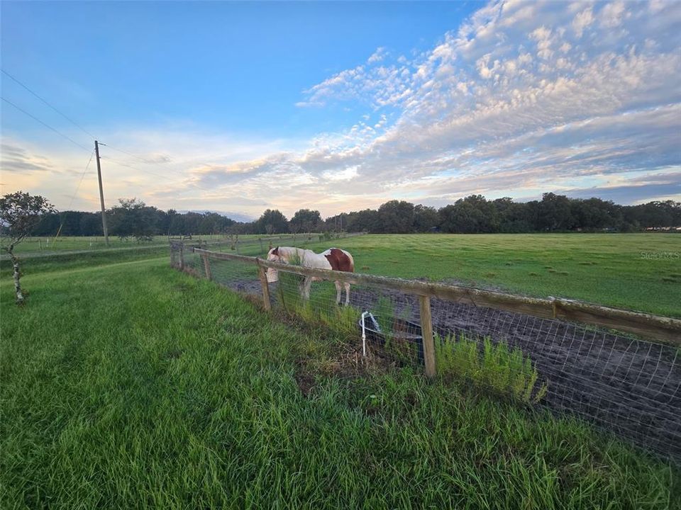 待售: $350,000 (10.00 acres)