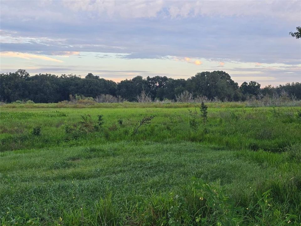 待售: $350,000 (10.00 acres)