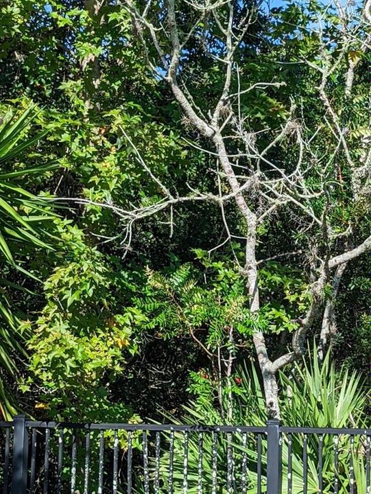 For Rent: $1,949 (3 beds, 2 baths, 1588 Square Feet)