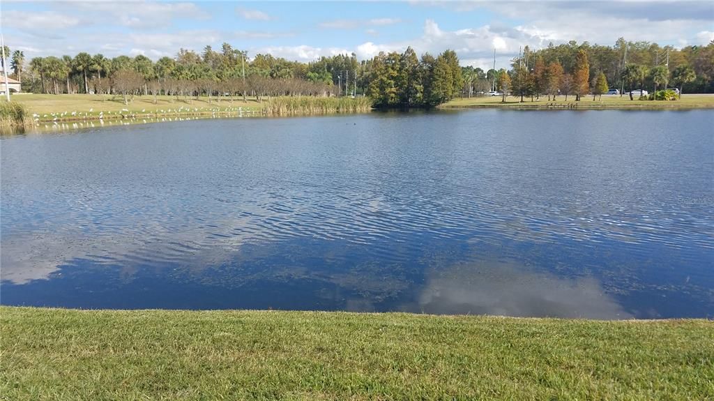 For Sale: $265,000 (3 beds, 2 baths, 1346 Square Feet)