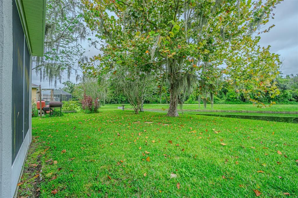 Activo con contrato: $329,000 (3 camas, 2 baños, 1746 Pies cuadrados)