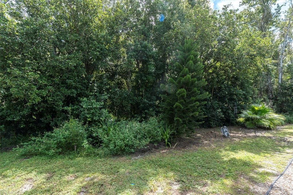 Под контрактом: $485,000 (3 спален, 2 ванн, 1932 Квадратных фут)