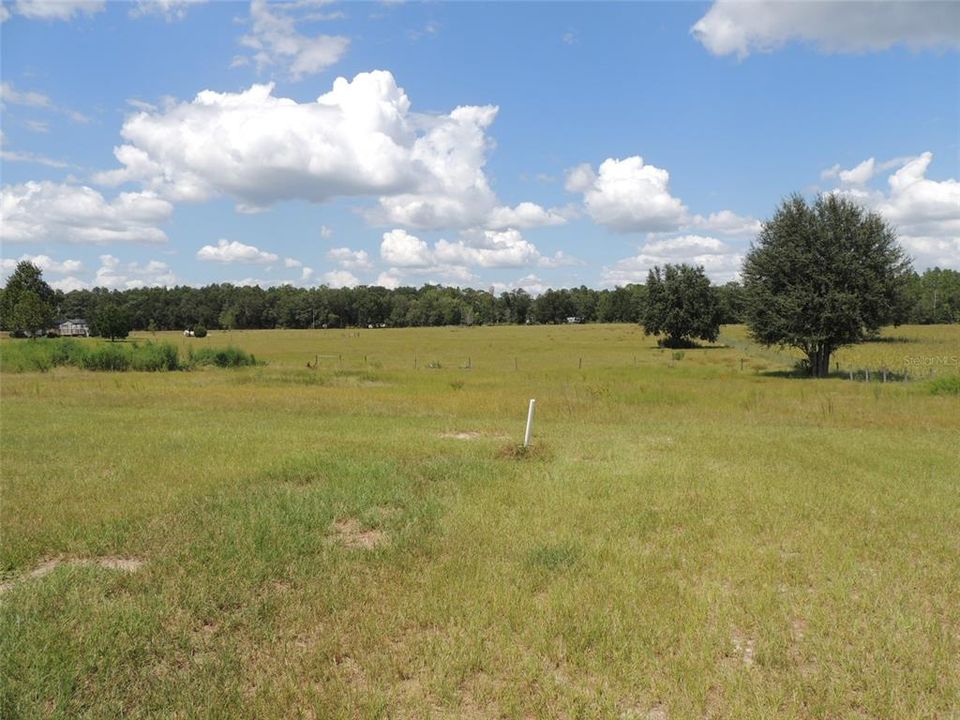 For Sale: $345,000 (1 beds, 1 baths, 480 Square Feet)