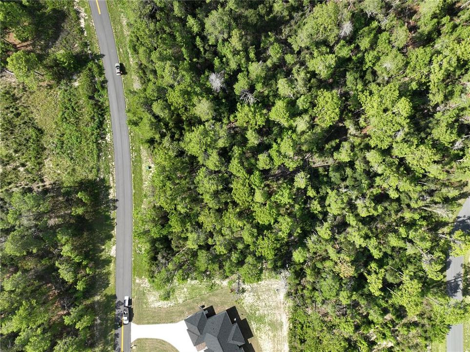 待售: $69,000 (0.59 acres)