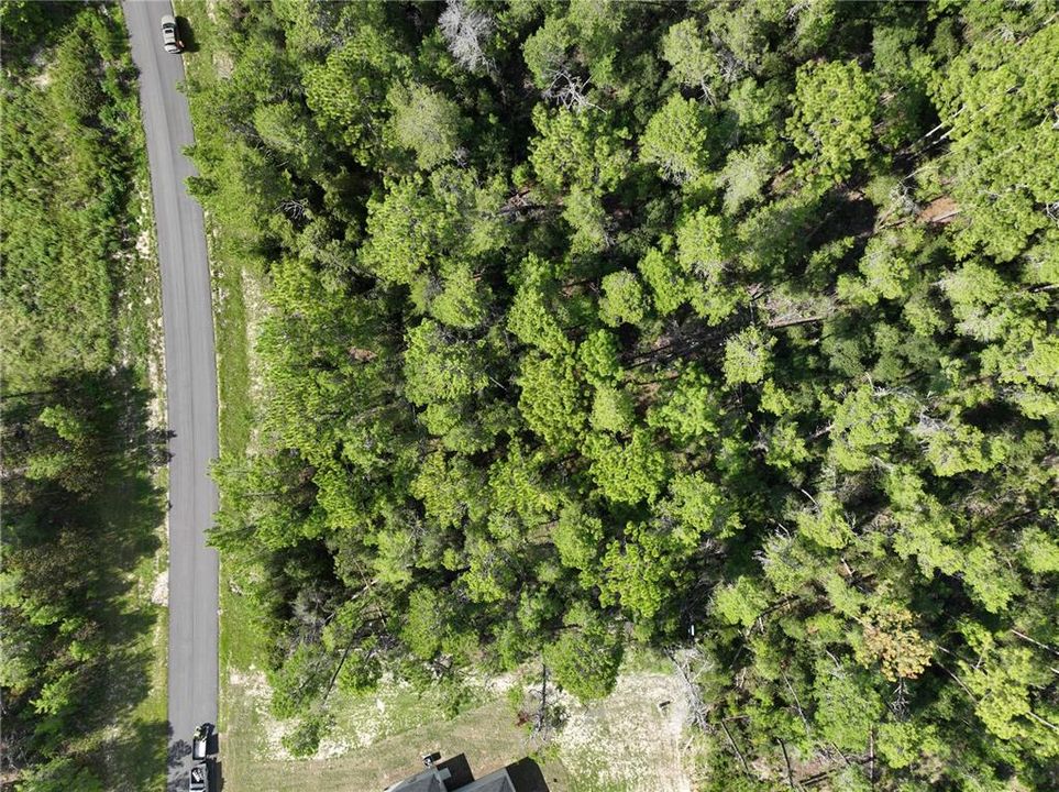 待售: $69,000 (0.59 acres)