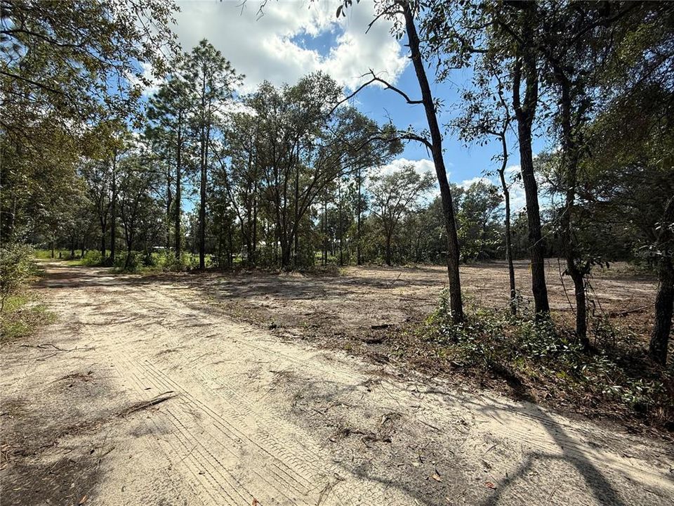 For Sale: $26,000 (1.25 acres)