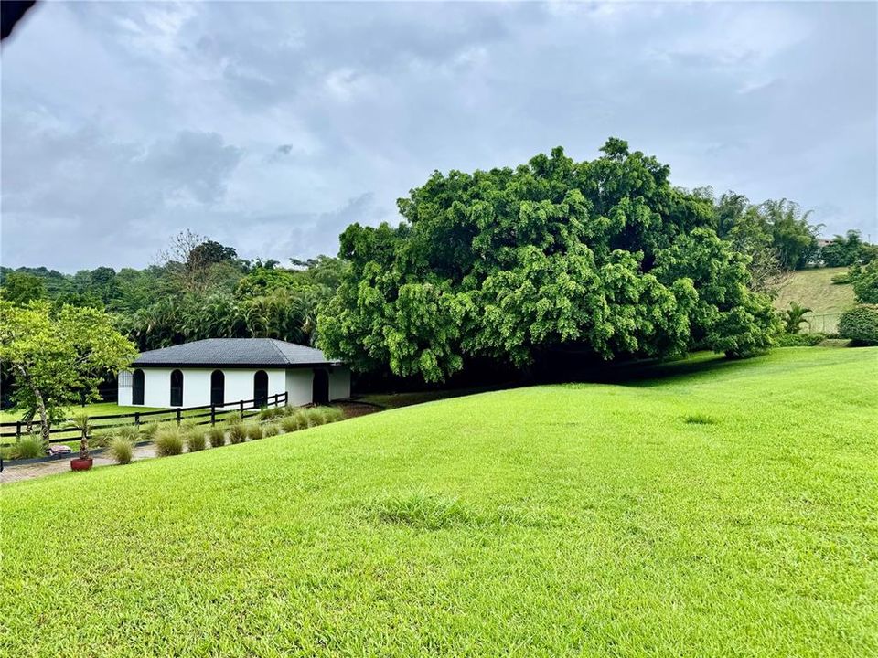 待售: $2,500,000 (6 贝兹, 5 浴室, 4535 平方英尺)