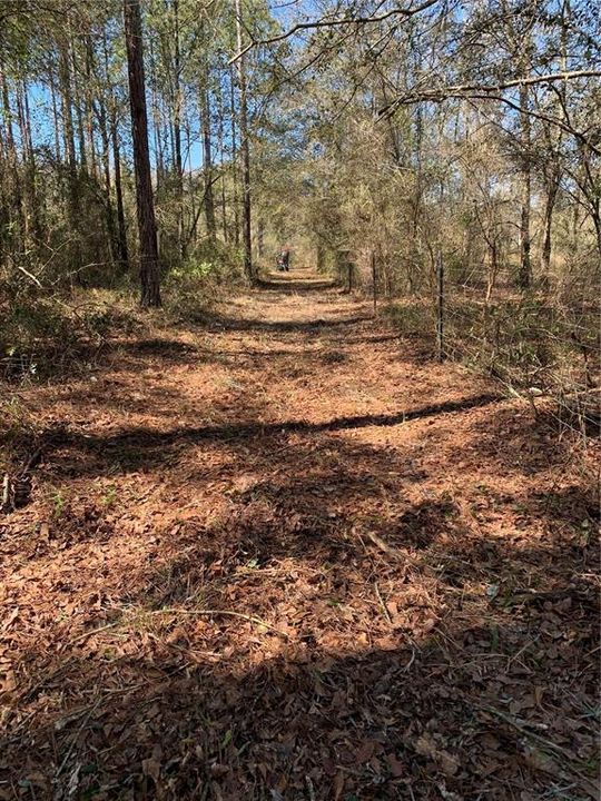 For Sale: $215,000 (40.00 acres)