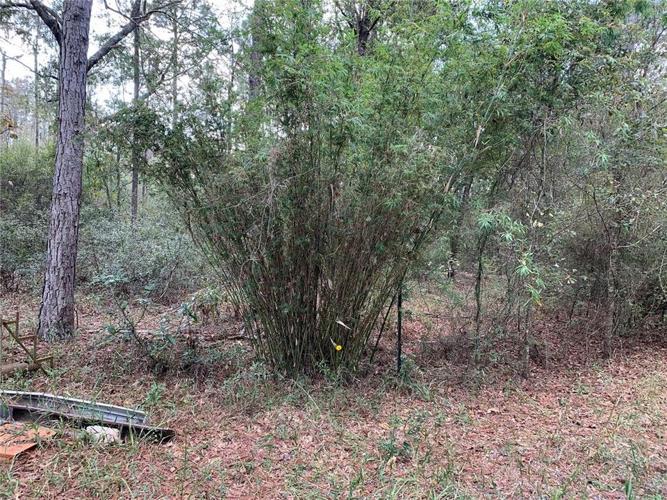 For Sale: $215,000 (40.00 acres)