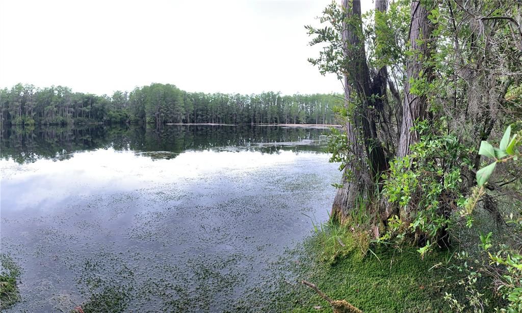 For Sale: $215,000 (40.00 acres)