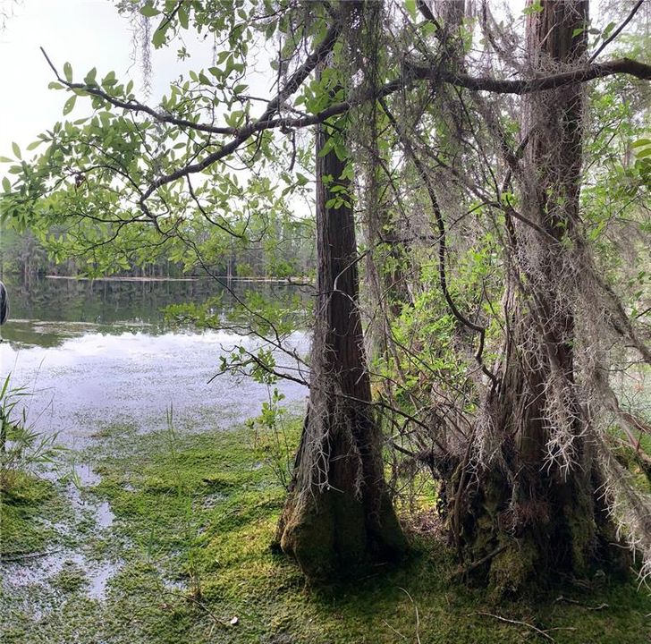 For Sale: $215,000 (40.00 acres)