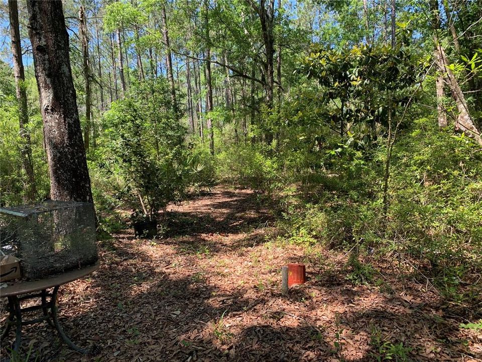 For Sale: $215,000 (40.00 acres)